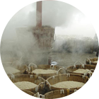 GA黄金甲(中国)最新官方网站